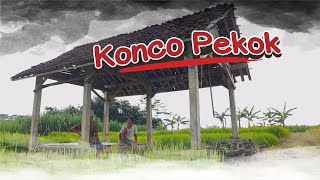 KONCO PEKOK  (TEMAN BODOH ) - KOMEDI KAMPUNG SADIRUN - VIDEO LUCU BIKIN NGAKAK