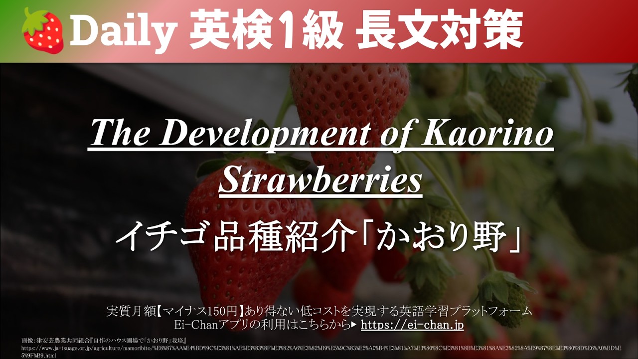 いちご※プロフ必読ください Daily 英検1級】気楽に聞き流す英検1級対策長文 - 『イチゴ品種紹介