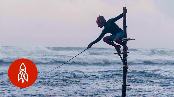 The Last of the Stilt Fishers in Sri Lanka - DayDayNews