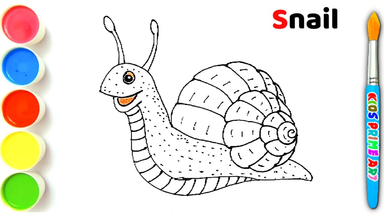 Snail Drawing for kids। Seashell । Conch Shell । 2minutes Drawing # ...