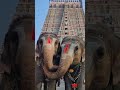 #maa #maadurga #maakali #maastatus #maalaxmi #maashakti #maavaishnodevi #maasaraswati #matarani #yt