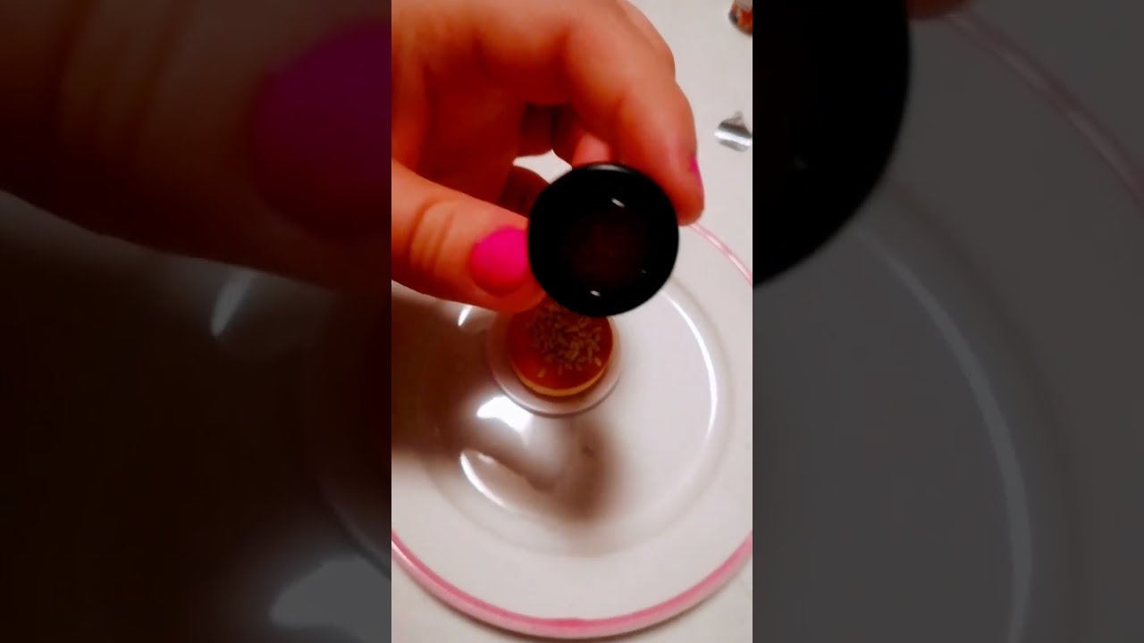 Zuru MINI BRANDS create Almond &amp; Apricot Cheesecake / Mandel ...