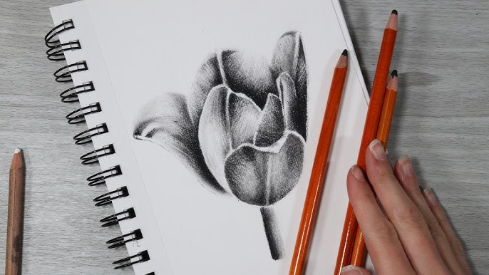 charcoal art drawings, charcoal drawing of my hand by joshfjames  traditional art drawings .