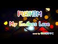 PUSHIM /My Eendless Love cover