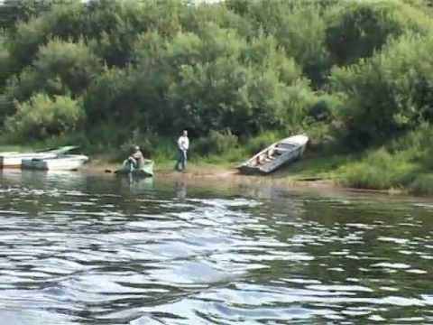 Видеоролик: Кологривинский лес