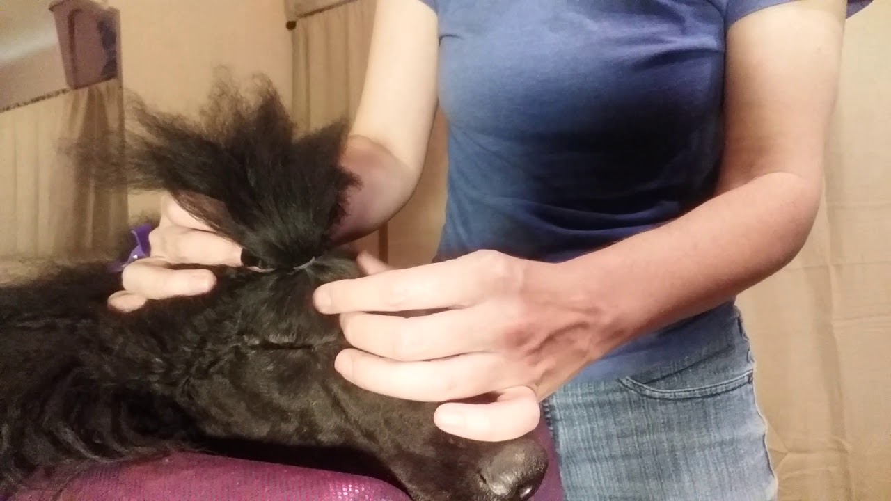 Trouble shooting bubbles