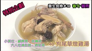 40.狗尾草燉雞湯狗尾雞｜ 春天・穀雨｜【特別企劃．第二季 ... 