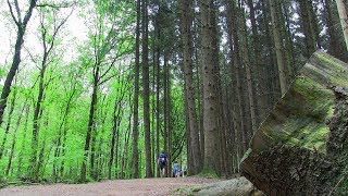 Trochrinnen: Bakkeveen 3 Provinciënwandeltocht 12 Mei 2018