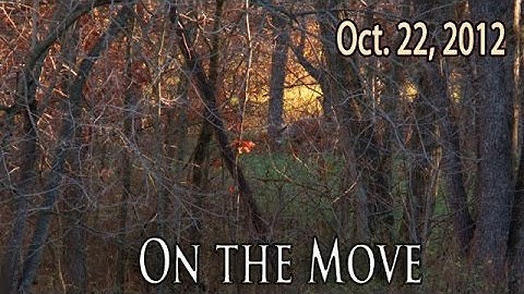 Pre-Rut Deer Hunting | Midwest Whitetail 2012