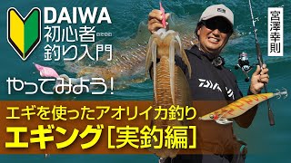 【DAIWA 初心者釣り入門】宮澤幸則のやってみよう！エギング［実釣編］