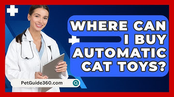 Where Can I Buy Automatic Cat Toys? - PetGuide360.com