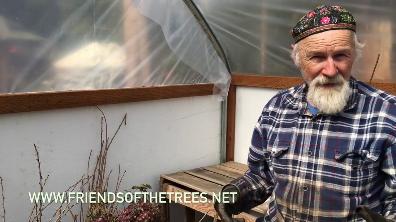 Medicinal Herb Propagation and Plant Sale with Michael Pilarski 
