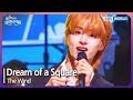 Dream of a Square - The Wind [Open Concert : EP.1477] | KBS KOREA 240505