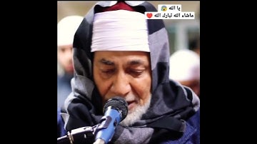 الشيخ : أحمد عيسى المعصراوي ( تلاوة خاشعة )