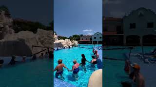 ¡La diversión nunca termina en Hotel Marina El Cid Spa &amp; Beach Resort!