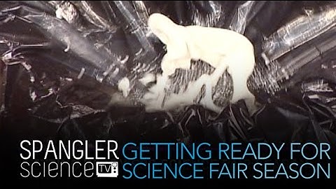Getting Ready for Science Fair Season - Cool Science Experiment