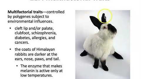 21.4 Beyond Simple Inheritance Patterns