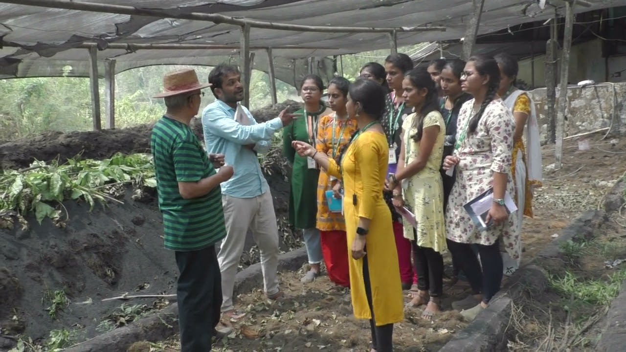 Detailed explanation about organic fertilizers - YouTube