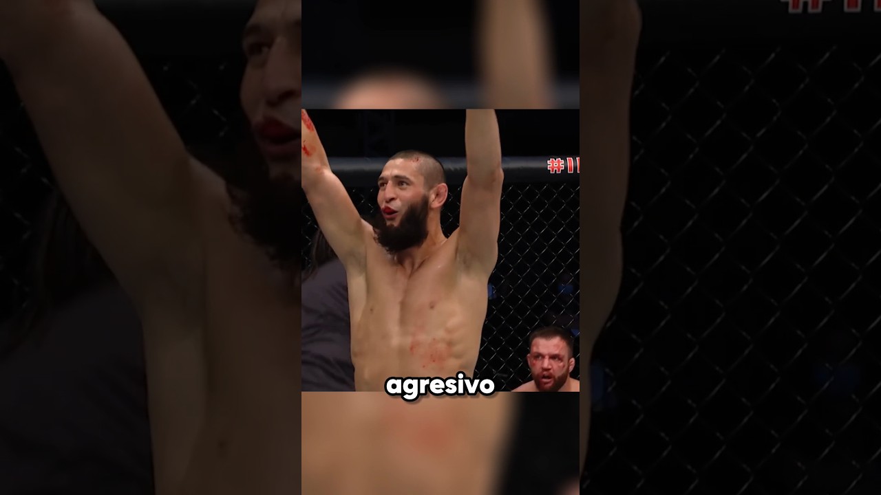 PELEA como un ANIMAL SALVAJE 🐺