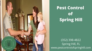 Bed Bug Treatment in Spring Hill Florida - pestcontrolofspringhill.com