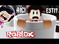 DE-A V-ATI Ascunselea IN ROBLOX ! Ne GASESTE?