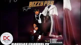 BIZZY PRO - VANAVELA  2025