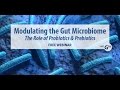 Modulating the Gut Microbiome – the Role of Probiotics and Prebiotics