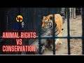Animal rights vs conservation  david ktorza