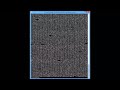 ARPrime Alpha5 - cARPicuaConjectura - 93711 a 93750 [#1361 (03/06/2026)]