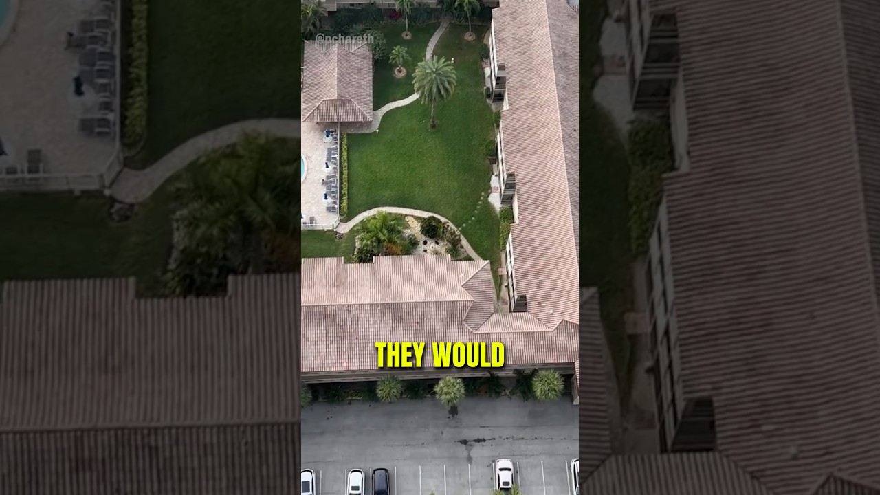 A Dangerous Paper Plane