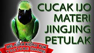 MATERI MEWAH..! JINGJING PETULAK JURI PASTI SUKA AUTO KONCER BOS #cucakijo #lombacucakijo #mewah