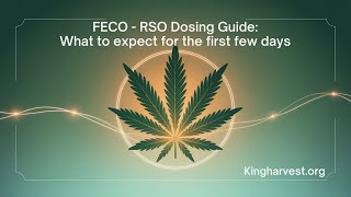FECO - RSO Dosing Guide: What to expect for the first few days