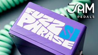 JAM pedals | Fuzz Phrase Si | Sound Bites