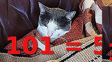 Using Java to Convert a Binary Number to a Decimal Number