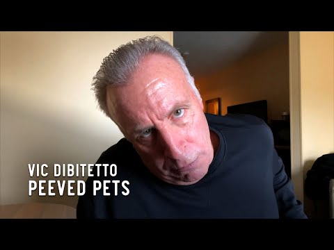 Peeved pets