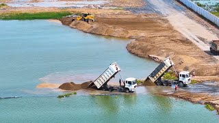 Incredible Making Road to Middle of Lake by SHANTUI Dozer with 25 Ton Truck