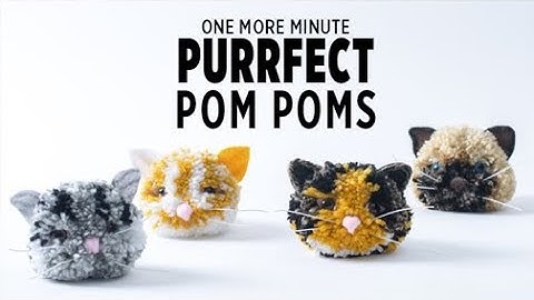 One More Minute: Cat Pom Poms