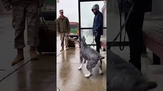 Download Lagu Phillies land All-Star closer Jhoan Duran ahead of MLB trade deadline 👀🔥 #JhoanDuran MP3