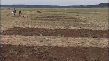 NM Compost Coalition: Compost applications on rangeland