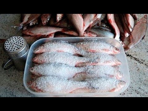 Как солить рыбу для копчения? Способы засолки рыбы для копчения. Зачем солить рыбу?