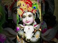 Jay Shri Radhe Krishna