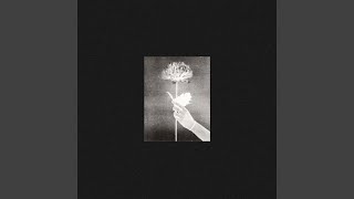 Different Time, Different Place Net Worth