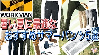 ワークマンの夏に最適なサマーパンツお勧め5選