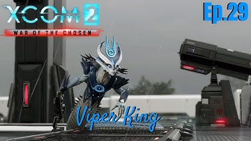 XCOM 2 - War of the Chosen: Viper King - Ep.29