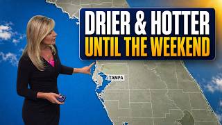 Tampa Weather Forecast - Bertha pulls moisture out to Gulf