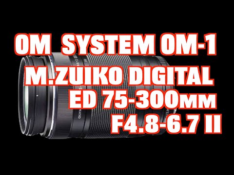 OM SYSTEM 75-300mm ズームレンズ Amazon.co.jp: OM SYSTEM M.Zuiko Digital ED 75-300mm f/4.8