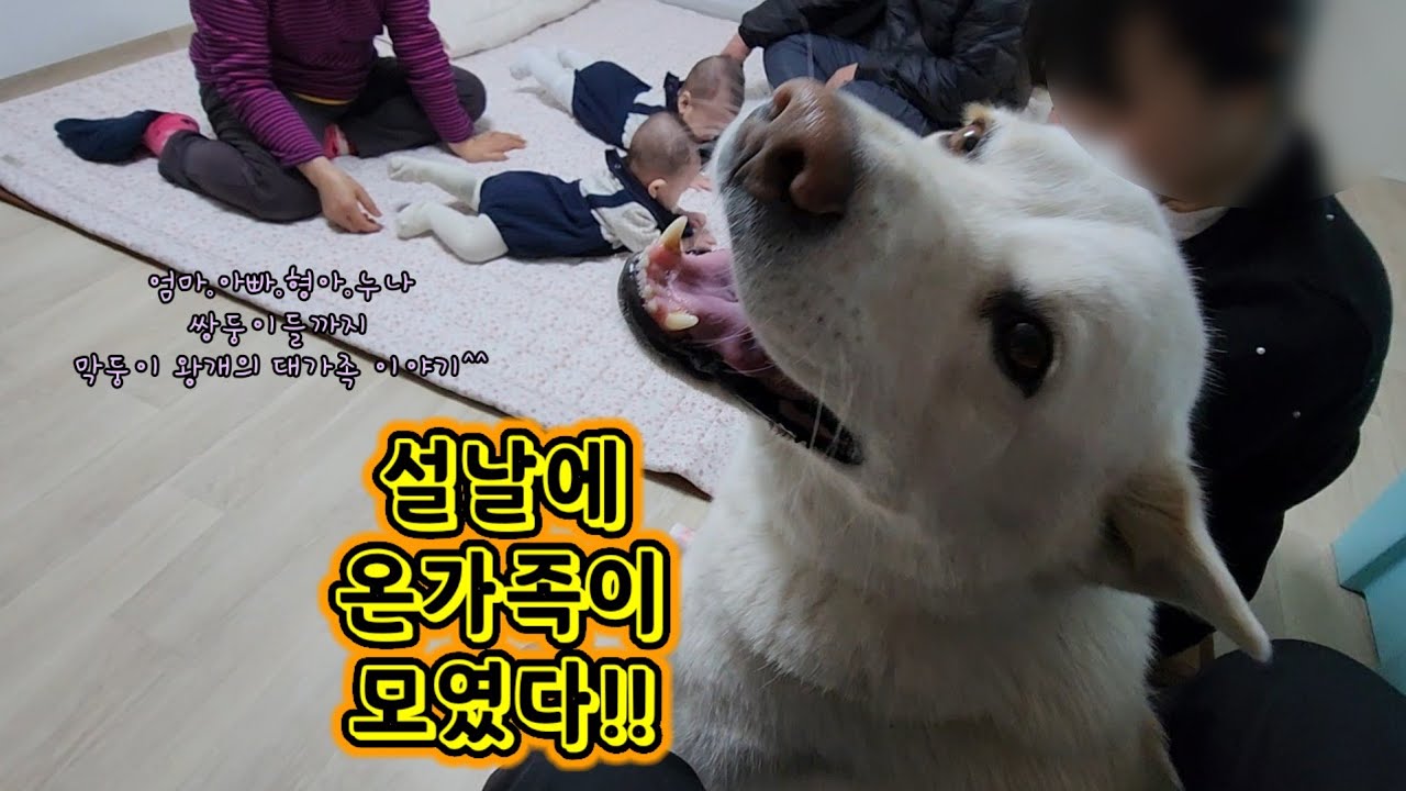 26년 설날에 대가족이 모였다^^(1편)