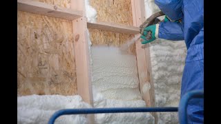 Foam Insulation - Real Consumer Questions