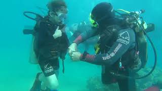 Dolphin Reef Eilat Diving Lesson