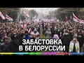 Народная забастовка в Белоруссии: стачки на заводах, протесты студентов и задержания